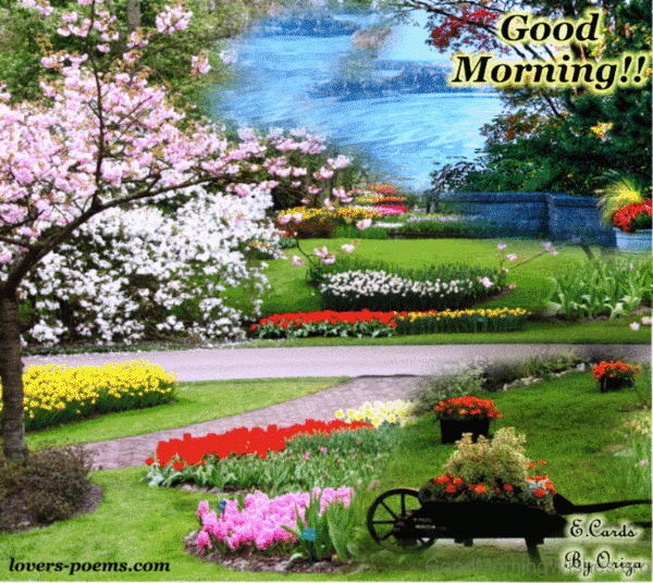 Good Morning