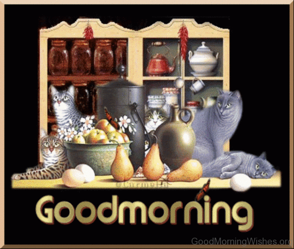 Good Morning Cat Image