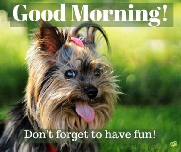 Good Morning Dont Forget To Have Fun