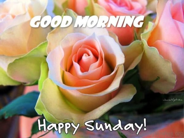 Good Morning Happy Sunday