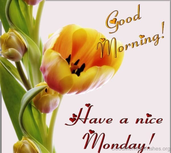 Good Morning Have A Nice Monday