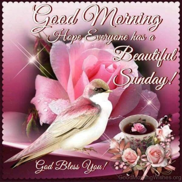 Good Morning Hope Everyone Has A Beautiful Sunday