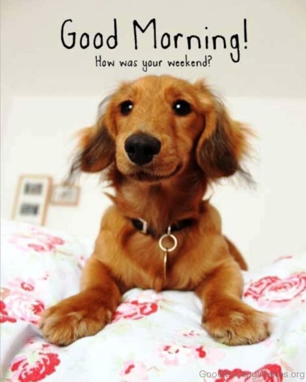 Good Morning How Was Your Weekend