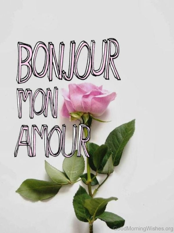 Good Morning My Love With Rose 1