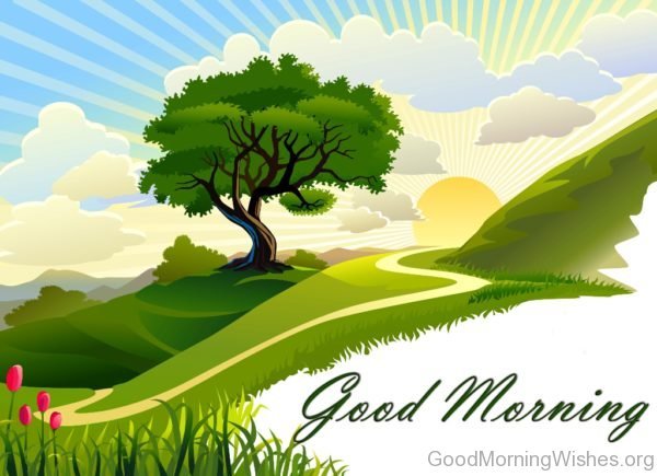 Good Morning Nature HD Wallpaper