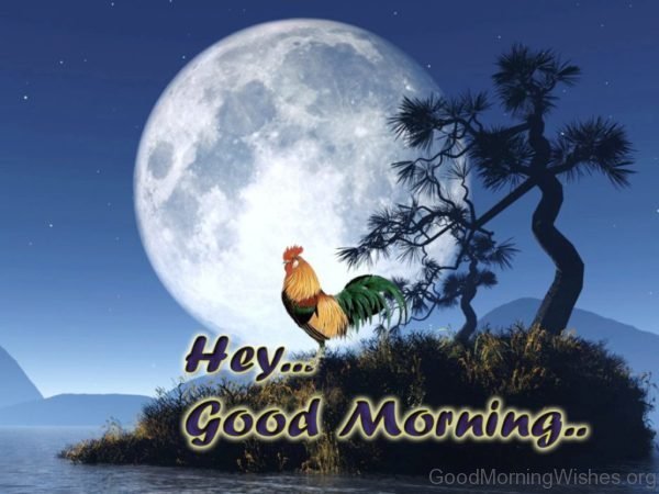 Good Morning Rooster Image