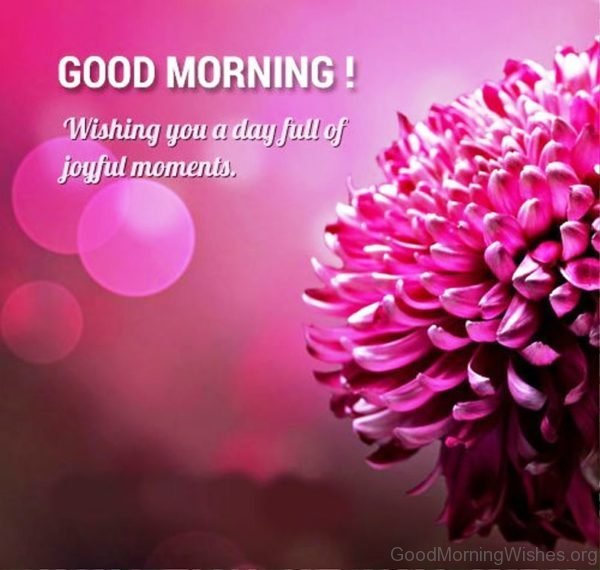 Good Morning Wishing You A Day Full Of Joyful Moments 1
