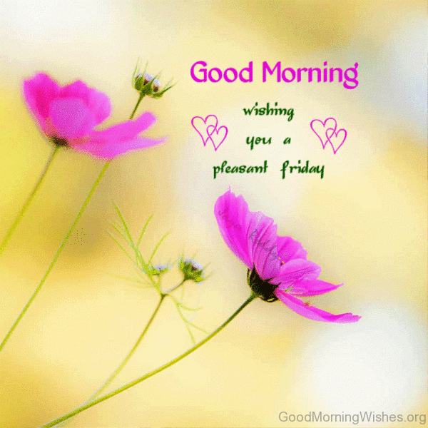 Good Morning Wishing You A Pleasant Friday