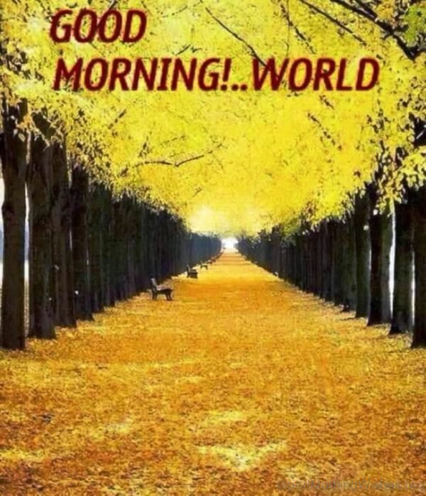 Good Morning World Image