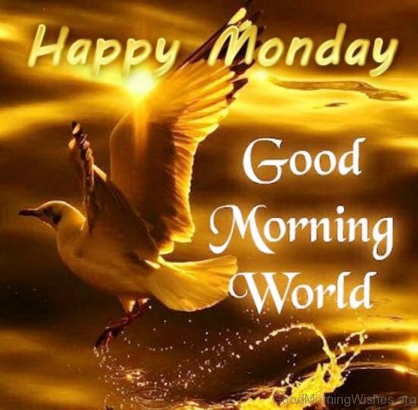 Happy Monday Good Morning World