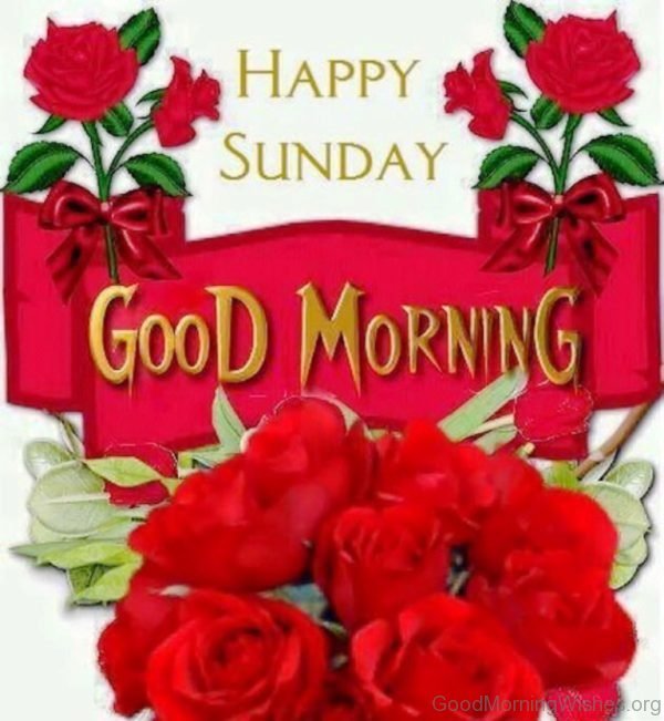 Happy Sunday Good Morning