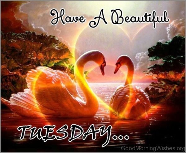 Have A Beautiful Tuesday