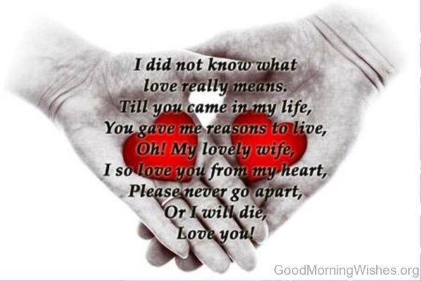 I Did Not Know What Love Really Means