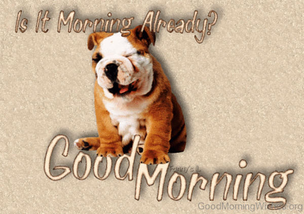 Is It Morning Already Good Morning