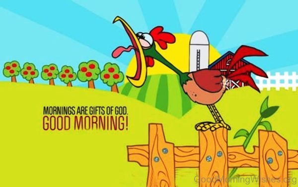 Mornings Are Gifts Of God