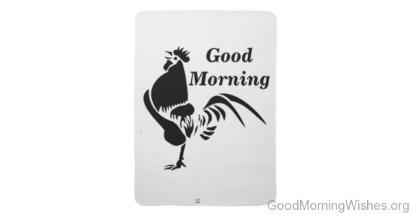 Nice Pic Of Good Morning Rooster