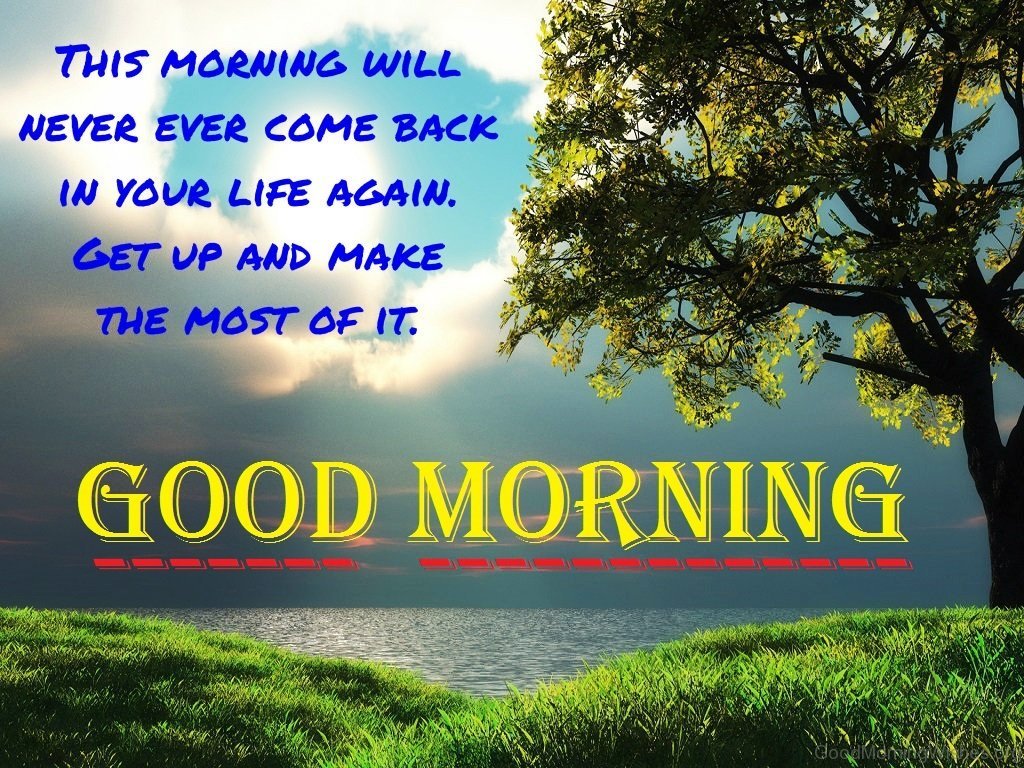 81 Good Morning – Nature - Good Morning Wishes