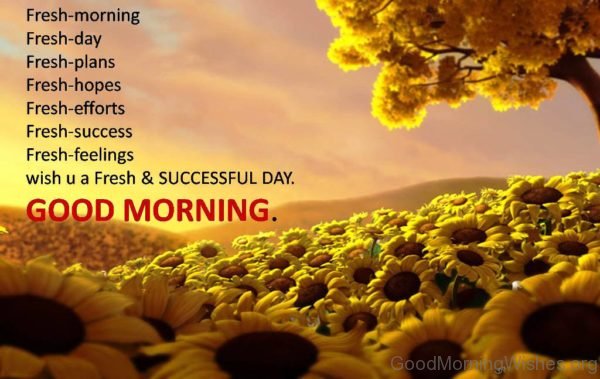 Wish You A Fresh And Successful Day