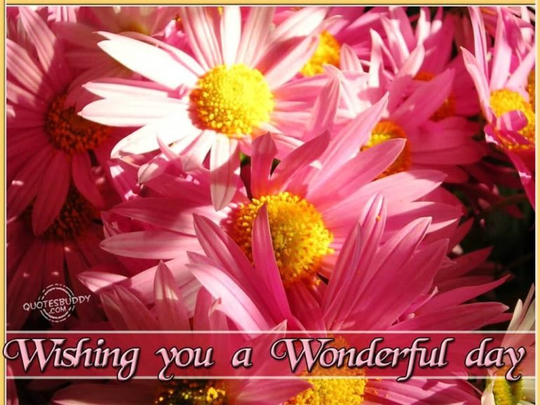 50 Wishing You A Good Morning Quotes - Good Morning Wishes