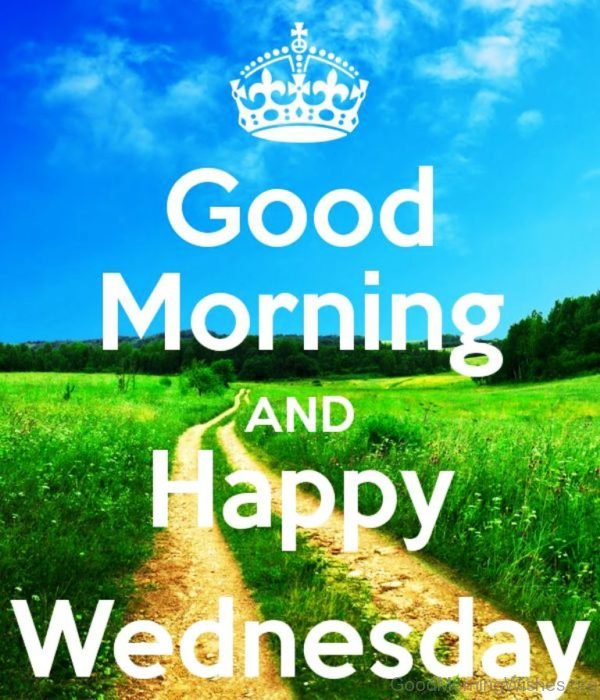 Good morning and happy wednesday