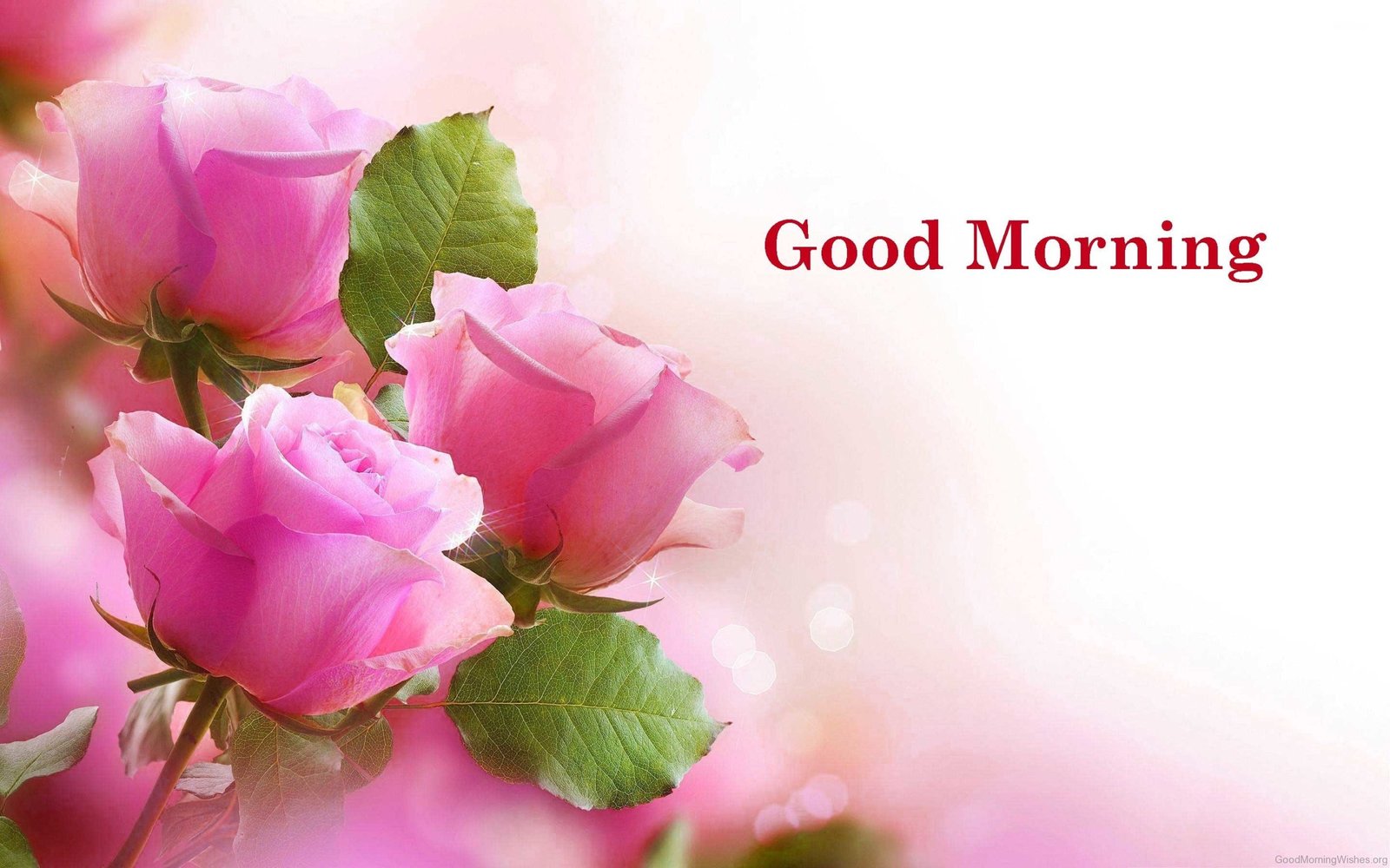 1300110 good morning blessings wallpaper 2880x1800 download free scaled