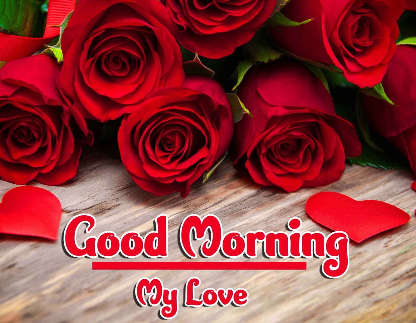 Red Rose Good Morning Images HD Download 53 scaled