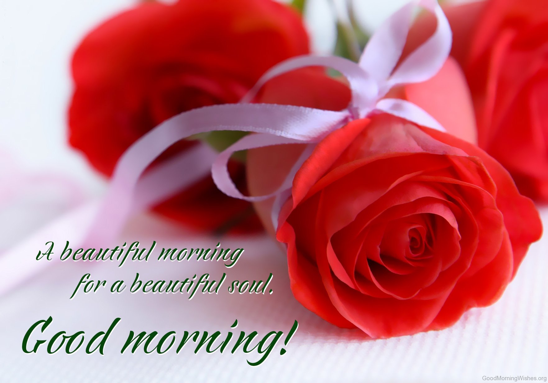 Good morning my love rose greetings3