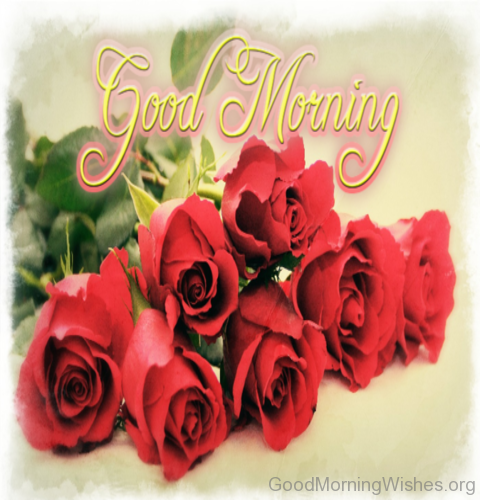 Good morning my love rose greetings6