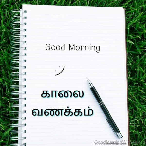 Good Morning Quotes