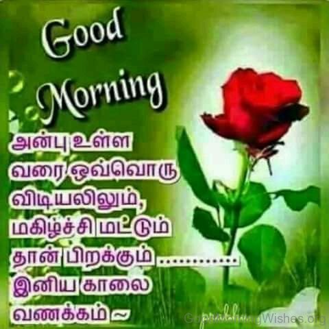 Good Morning 3