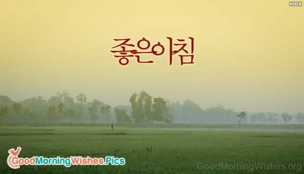 Good Morning In Korean