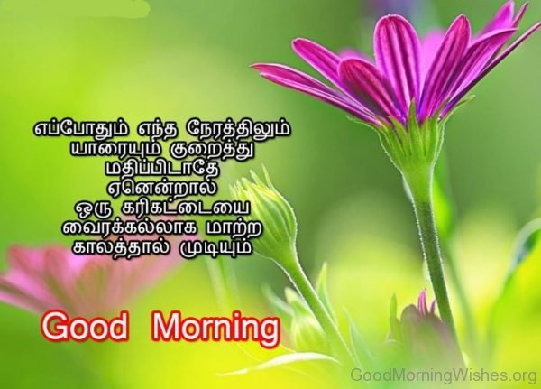 Good Morning In Tamil