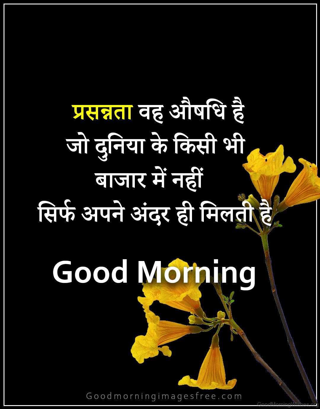 47 Incredible Good Morning Quotes in Hindi - Good Morning Wishes