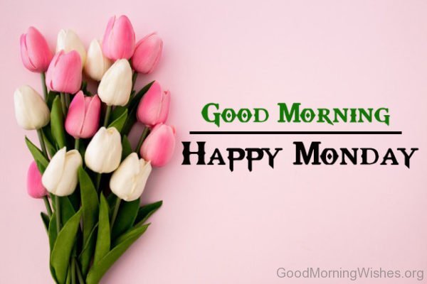 Best Quality Monday Good Morning