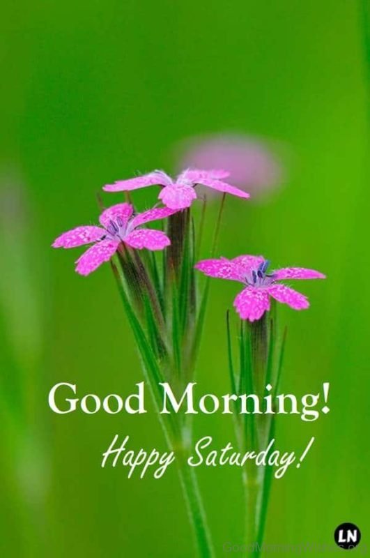 Good Morning]