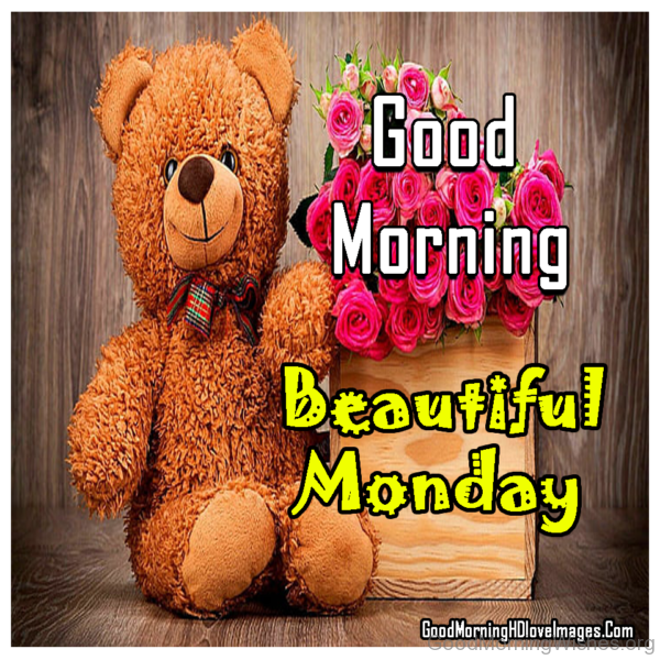 Good Morning Beautiful Monday