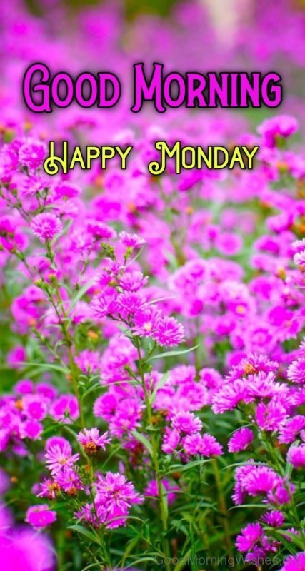 Good Morning Happy Monday Images