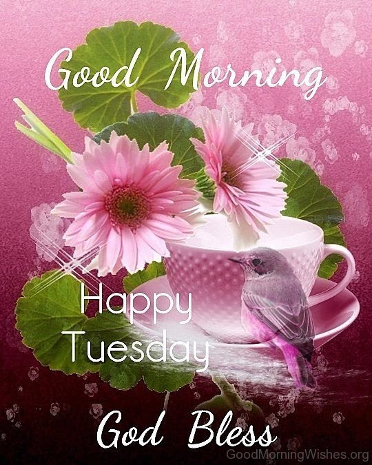 Good Morning Happy Tuesday God Bless