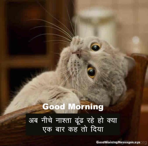 Good Morning In Hindi Funny