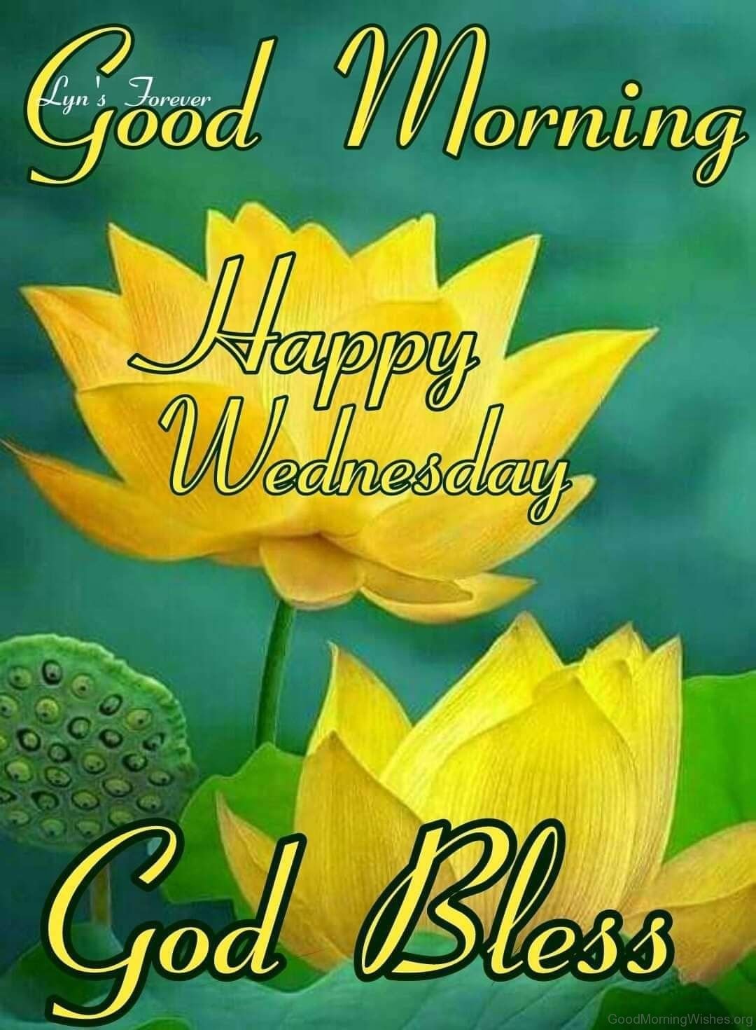 40+ Delightful Wednesday Good Morning Wishes - Good Morning Wishes