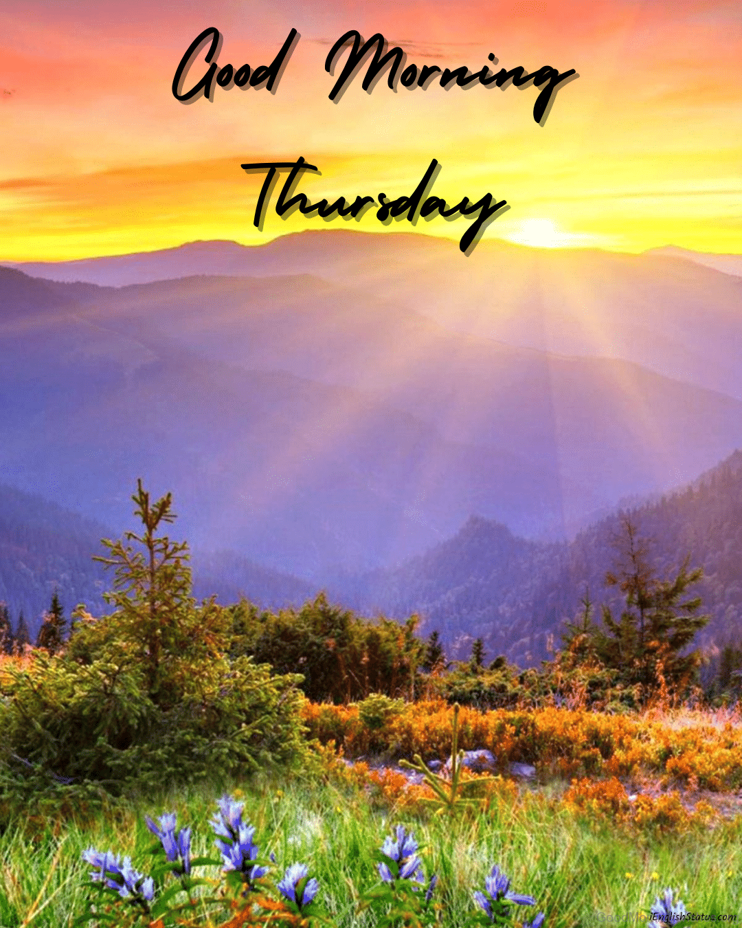 25+ Unique Thursday Good Morning Wishes - Good Morning Wishes