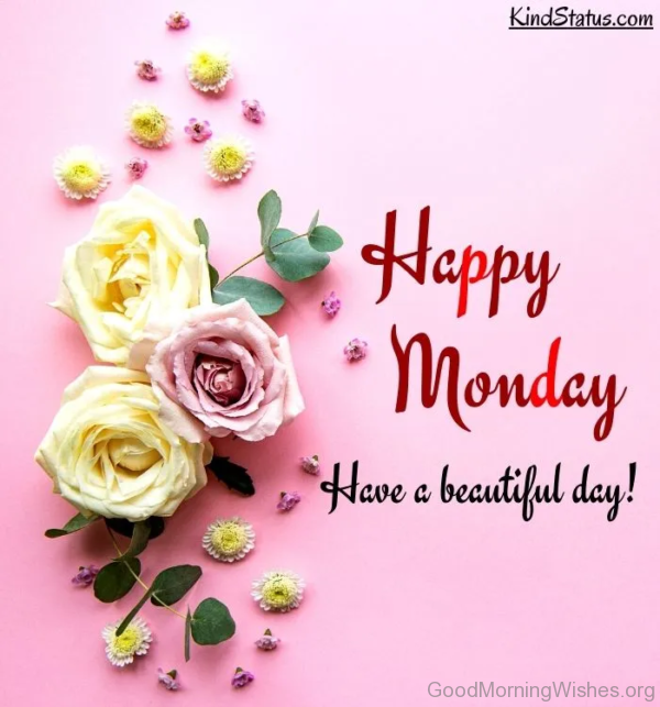 Beautiful Happy Monday