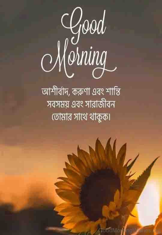 Bengali Morning