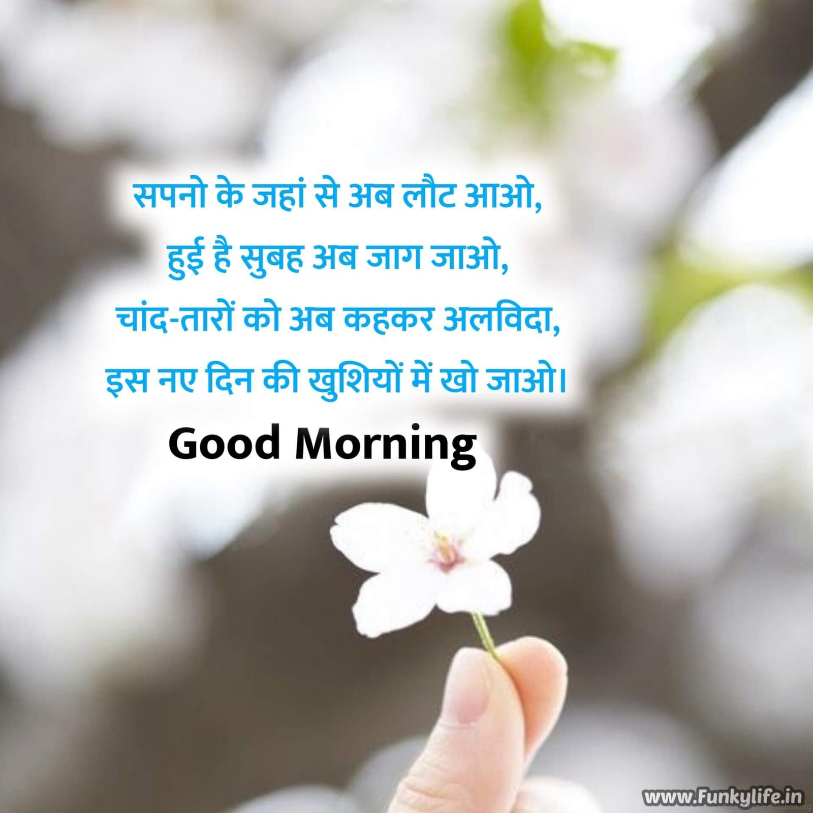 38 Good Morning Shayari Wishes for Friends - Good Morning Wishes 38 Good Morning Shayari Wishes for Friends - Good Morning Wishes