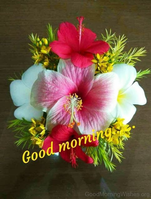 Good Morning 3
