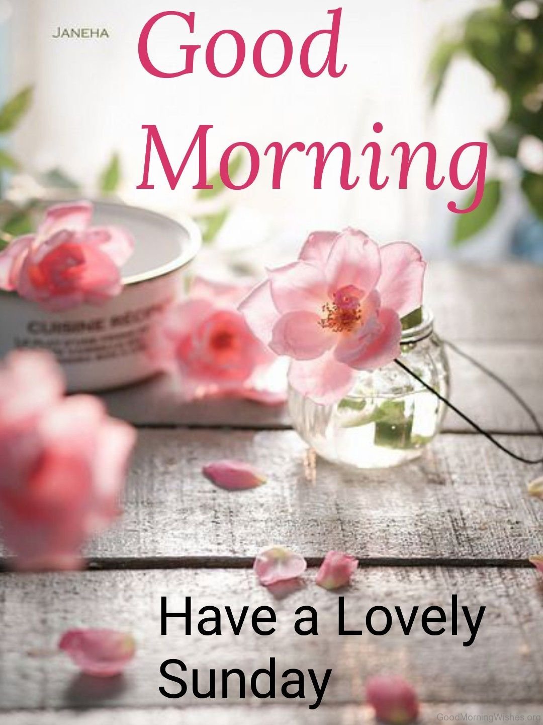 40+ Lovely Sunday Good Morning Wishes Good Morning Wishes