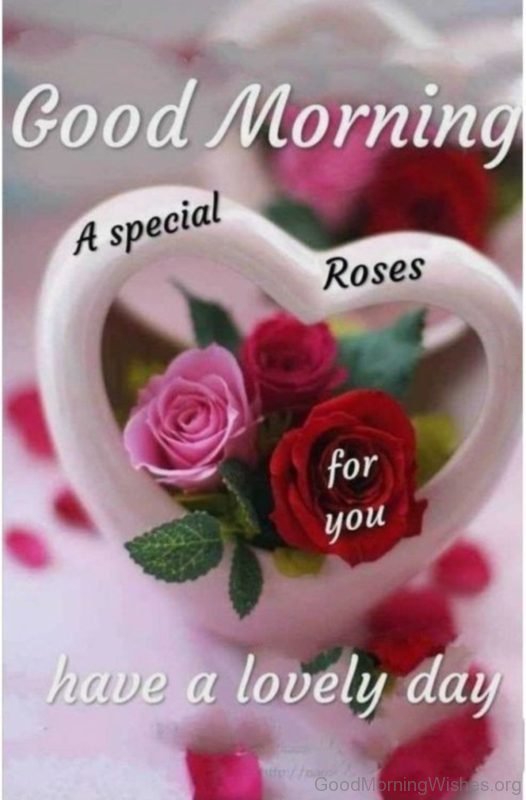 Good Morning Lovely Monday