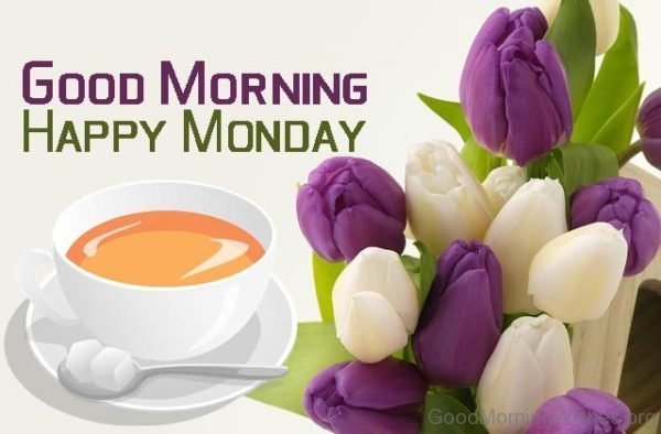 Good Morning Monday