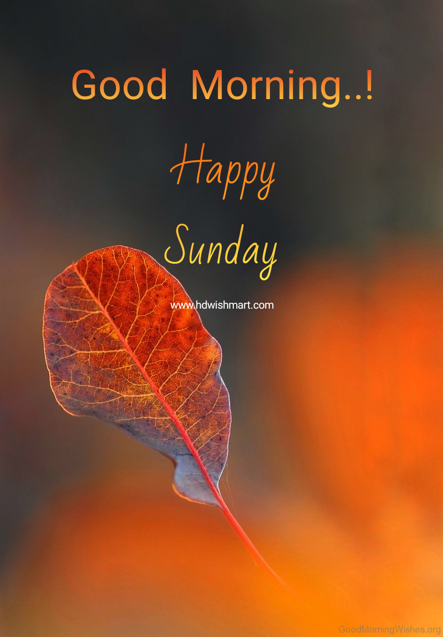 40+ Lovely Sunday Good Morning Wishes - Good Morning Wishes