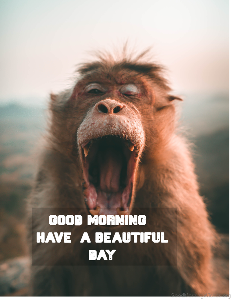 35 good morning wishes to make you laugh good morning wishes